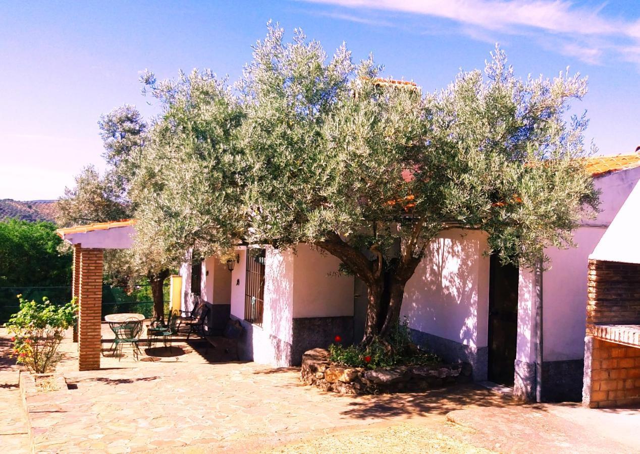 Cortijo "Era Grande 2" Villa Córdoba Exterior foto