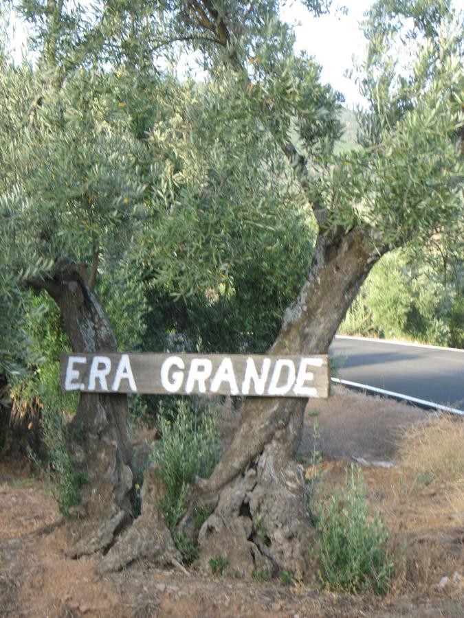 Cortijo "Era Grande 2" Villa Córdoba Exterior foto