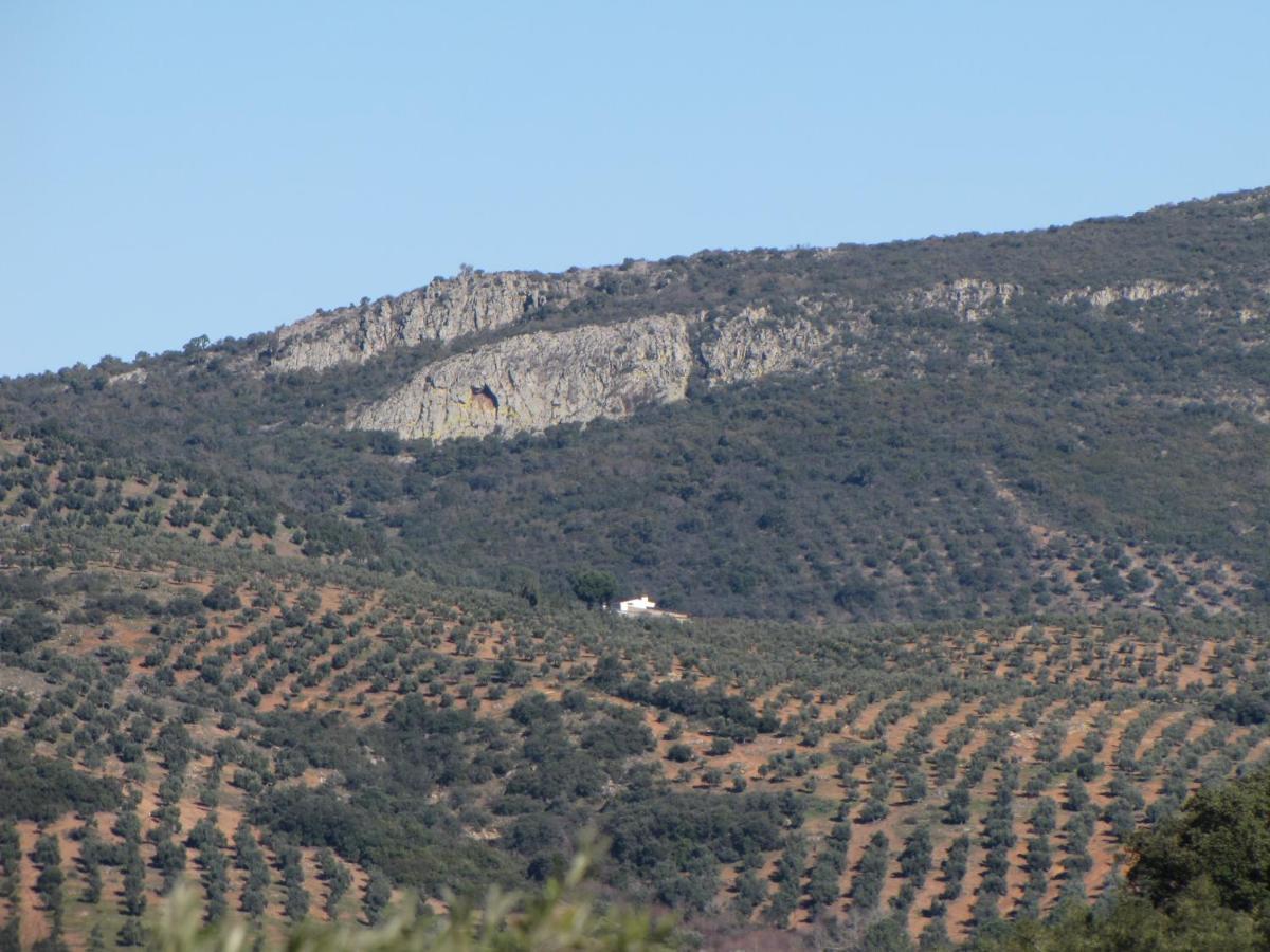 Cortijo "Era Grande 2" Villa Córdoba Exterior foto